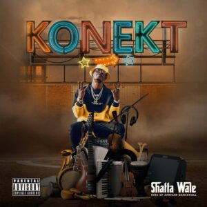 Shatta Wale - Hiray