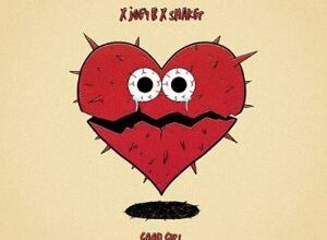 DJ Vyrusky - Good Girl (Evandy Girl) Ft Joey B & Shaker