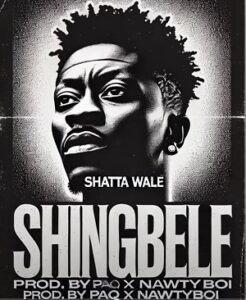 Shatta Wale - Shingbele 
